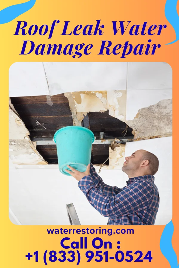 Roof Leak Water Damage Repair in St. Andrews, SC