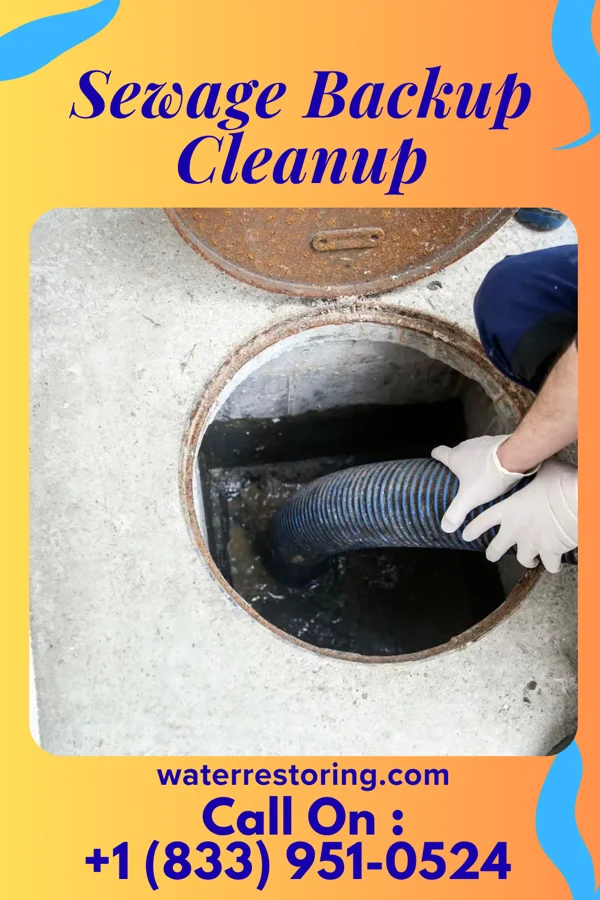 Sewage Backup Cleanup in St. Andrews, SC
